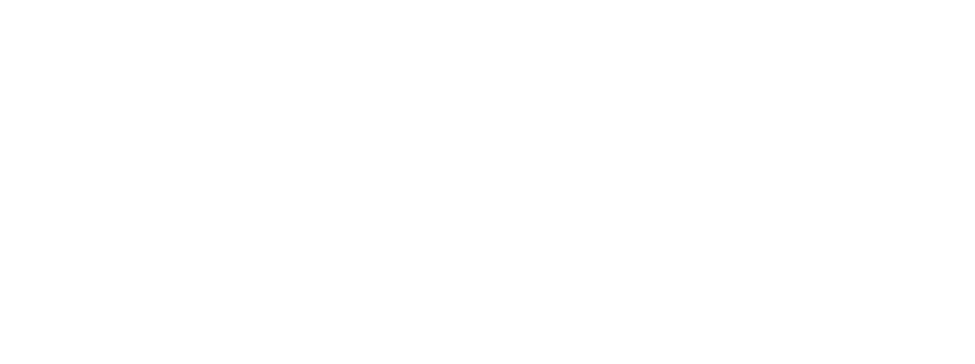 Official Partner of Amsterdam Light Festival Edition 15